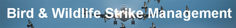 Bird & Wildlife Strike Management 815x100