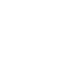 license-icon